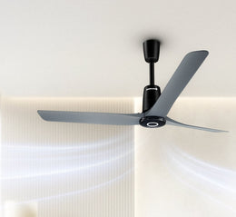Ceiling Fans