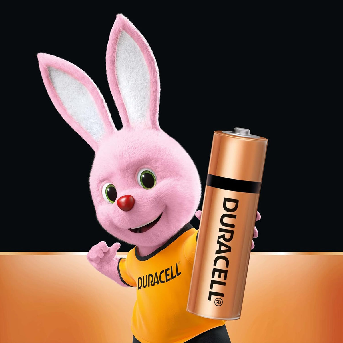 Duracell Alkaline AA Batteries - 10 Pack