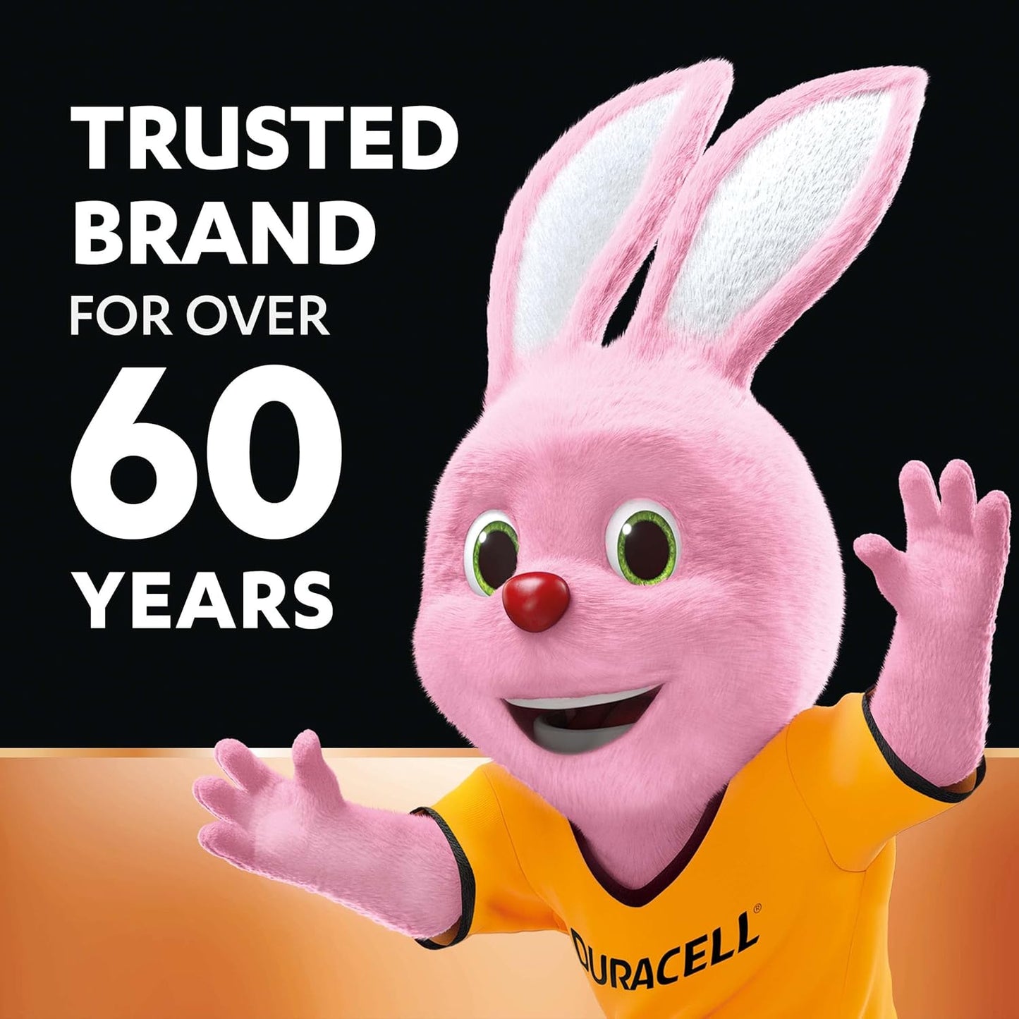 Duracell Alkaline AAA Batteries - 10-Pack