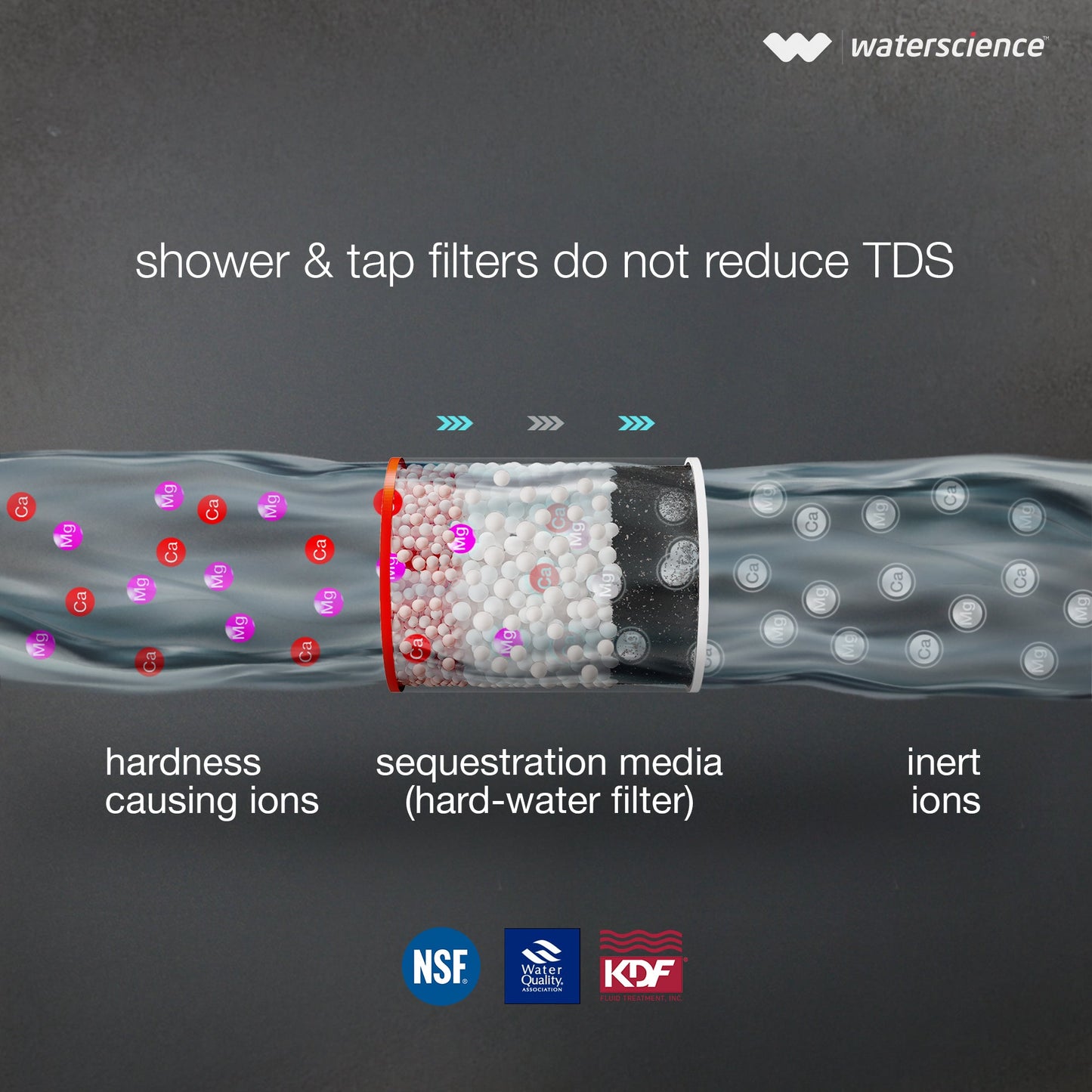 Water Science CLEO Shower & Tap Filter for Hard Water | Municipal Water | Reduces Sediments & Odour
