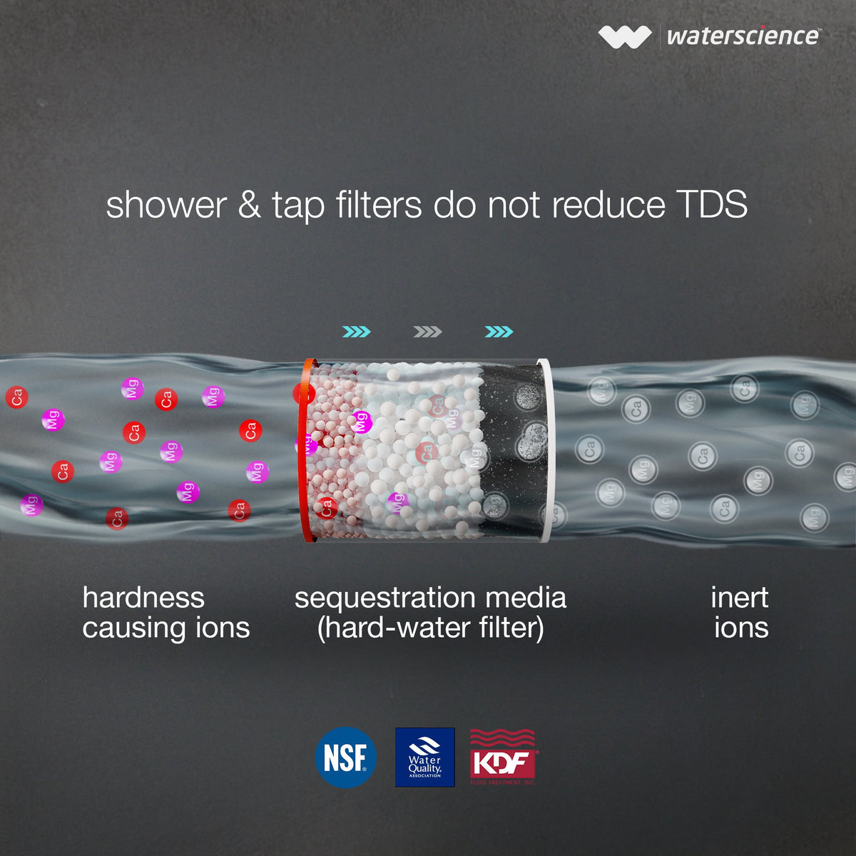 Water Science CLEO Shower & Tap Filter for Hard Water | Municipal Water | Reduces Sediments & Odour