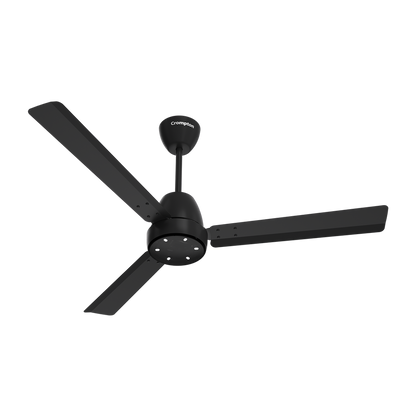 Crompton Energion Niteo BLDC Ceiling Fan