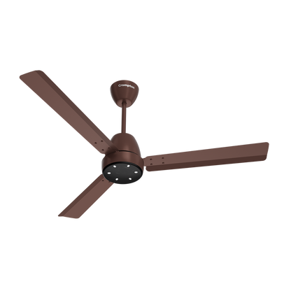Crompton Energion Niteo BLDC Ceiling Fan