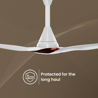 Crompton SilentPro Enso BLDC Ceiling Fan