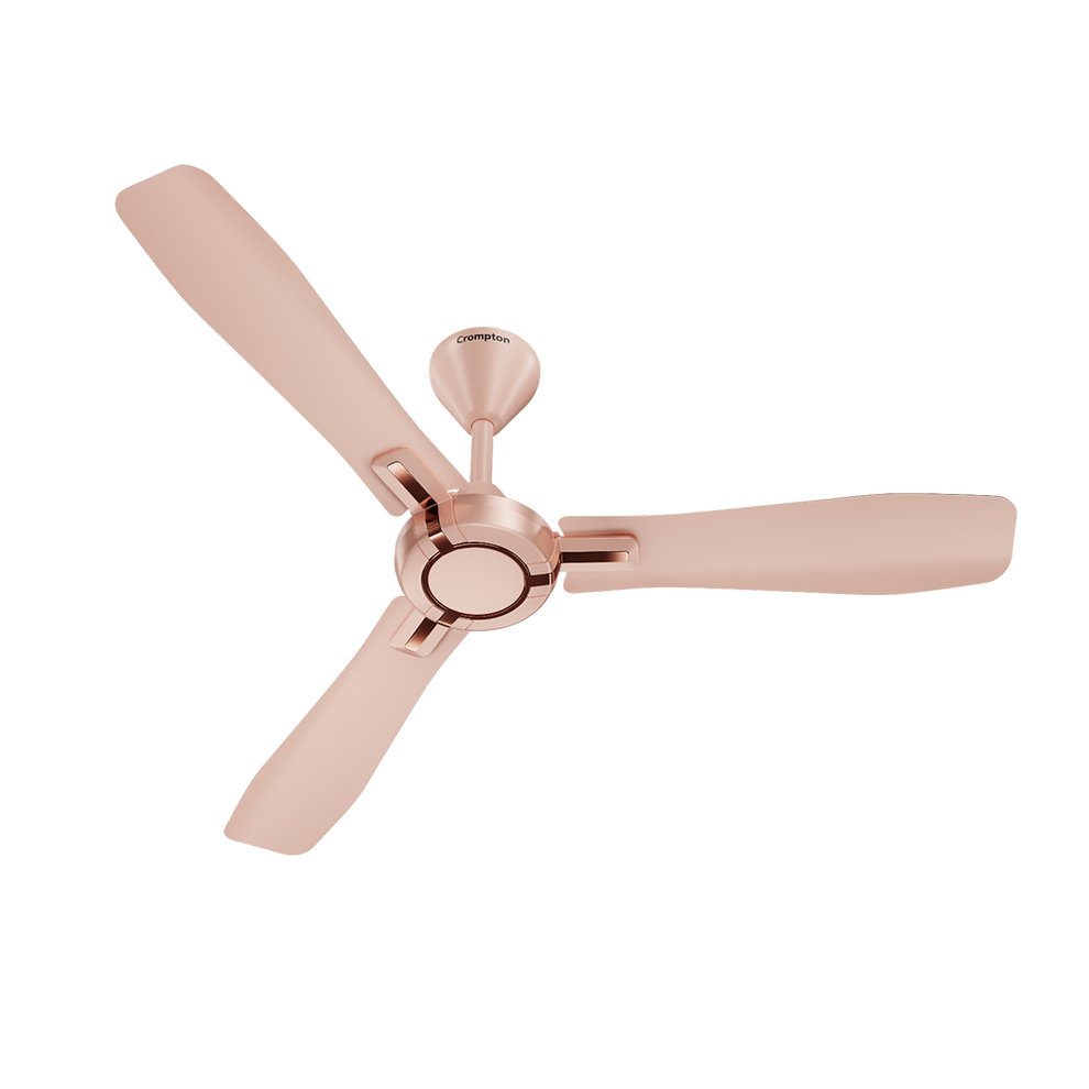 Crompton Highspeed Santos Fan