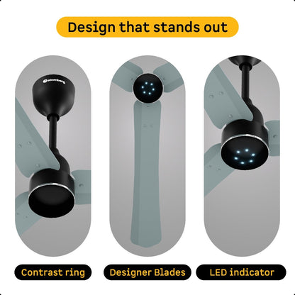 Atomberg Renesa Halo Ceiling Fan